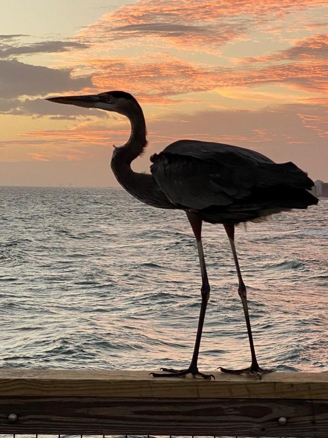 Beautiful! Sunset Harbor Condo For 2-Top Floor 1-309, Navarre Beach Zewnętrze zdjęcie
